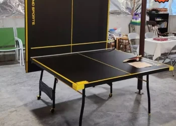 pingpong
